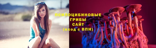 гидропоника Верея