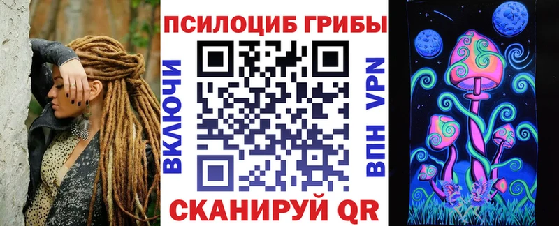 хочу наркоту  Оса  Псилоцибиновые грибы Psilocybine cubensis 